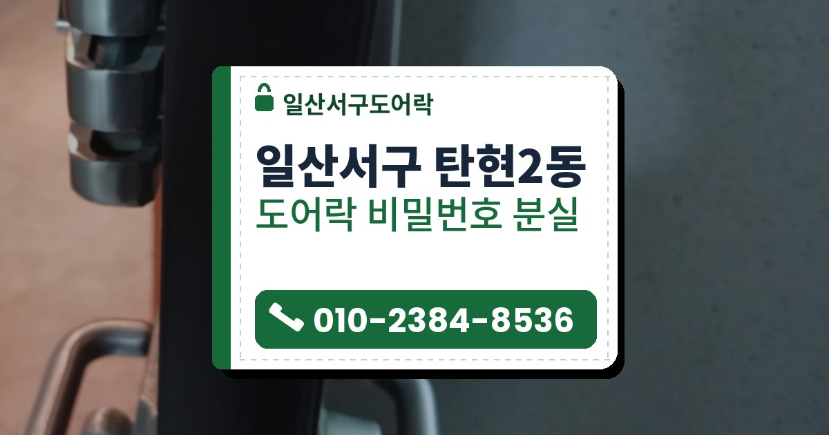 일산서구 탄현2동 도어락 비밀번호 분실 — 일산서구도어락 안내 그림